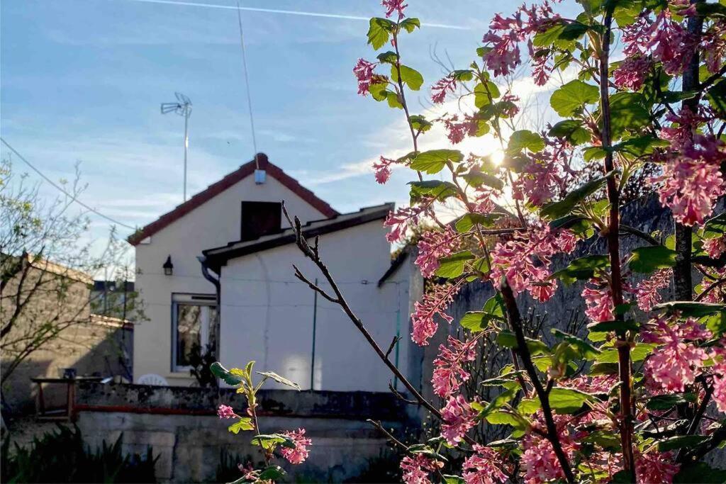 Le Ni' De Jess * Migennes